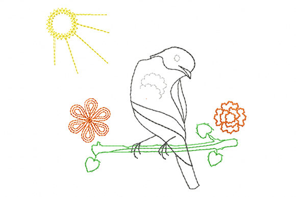 Oriole Bird and Sun Embroidery Review